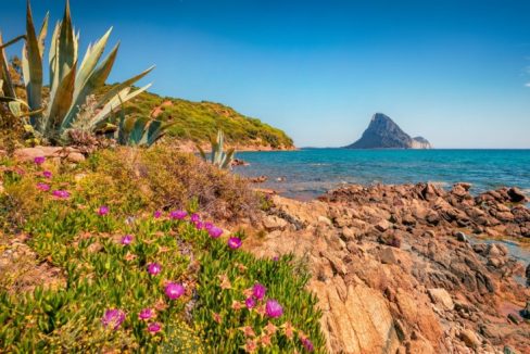 tavolara-da-spiaggia-porto-taverna