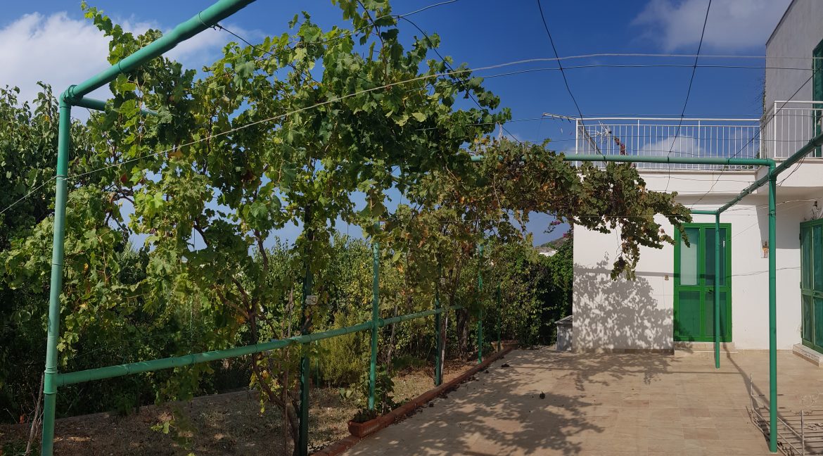 Patio con vigneto