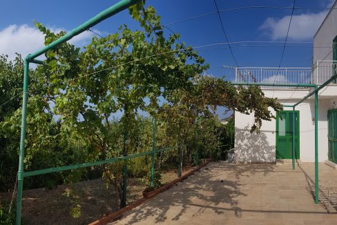Patio con vigneto
