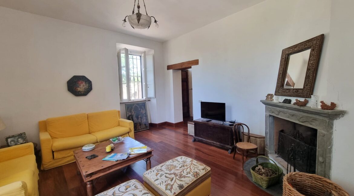 Salone con caminetto