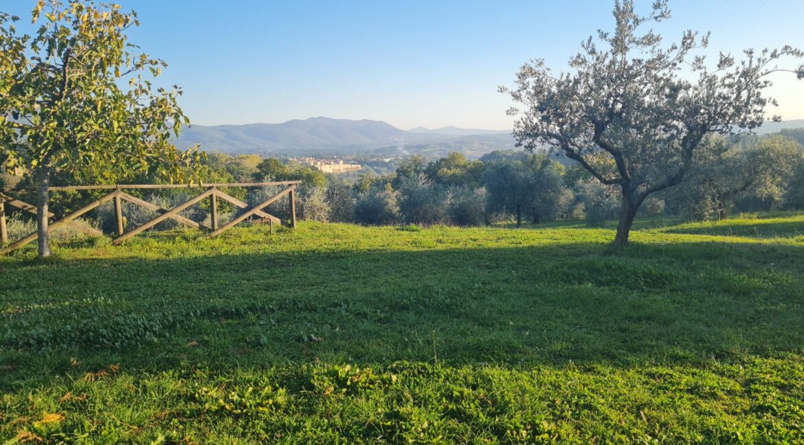 Vista