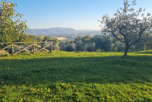 Vista