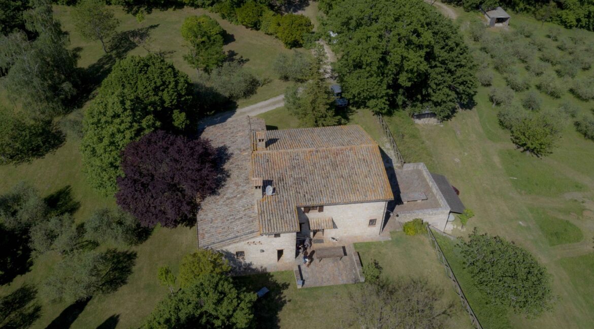 Casale