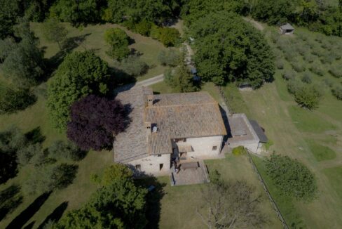 Casale