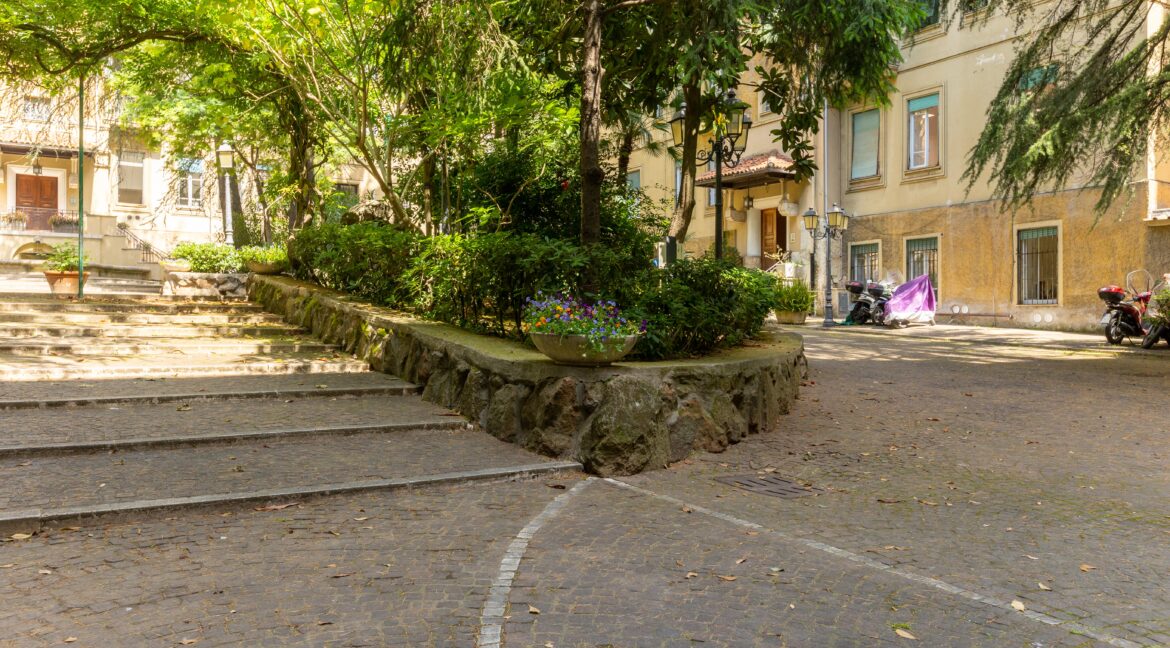 Cortile alberato